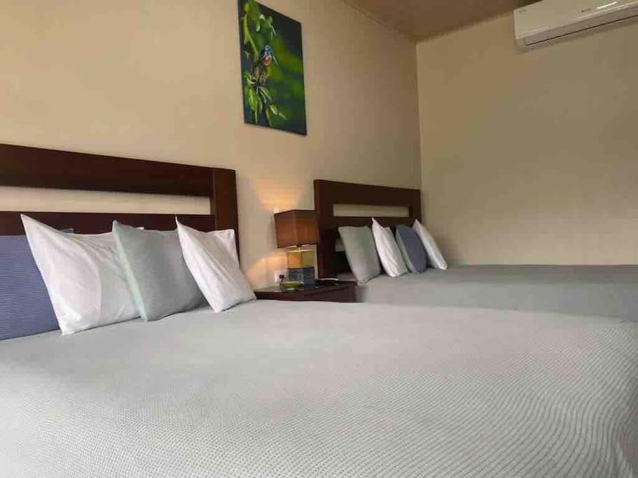 Lisa Loft Boutique Apartment La Fortuna Esterno foto